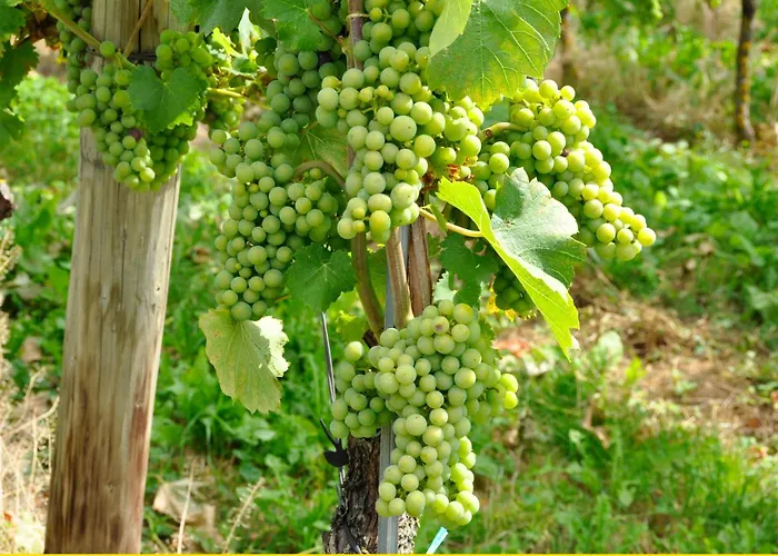 Auszeit * Hagnau am Bodensee